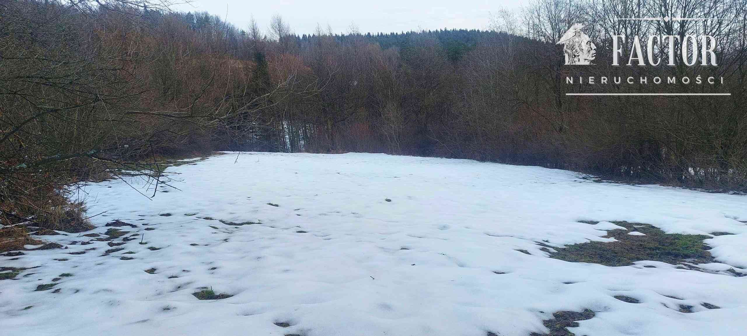 Działka budowlana w otulinie drzew, 57 arów, Siary, gm. Sękowa - zdjęcie 2