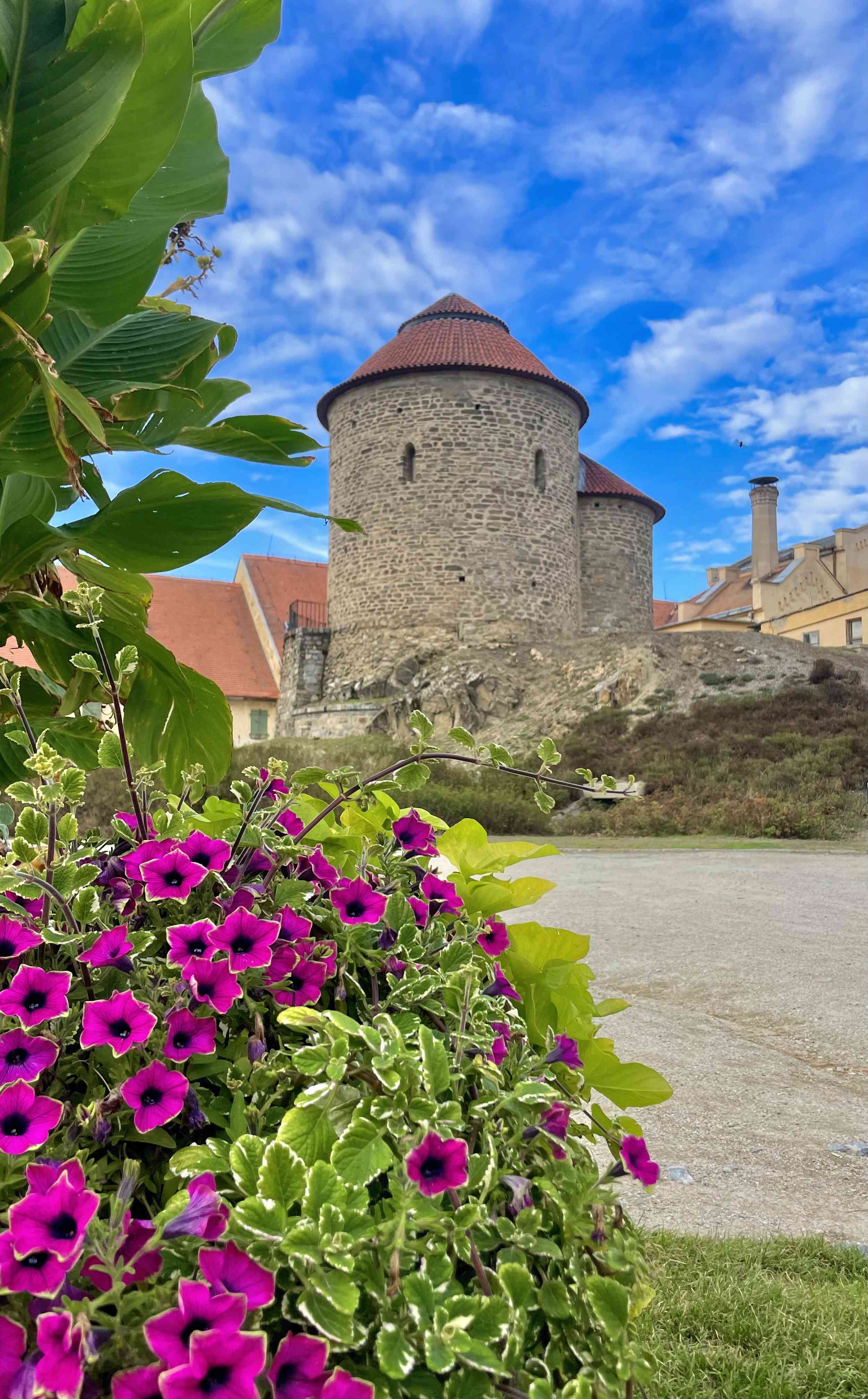 Znojmo Heritage - apartmány a gotický wine bar - zdjęcie 11