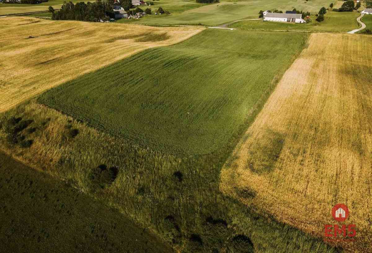 Działka - Żegary, gm. Sejny - zdjęcie 4