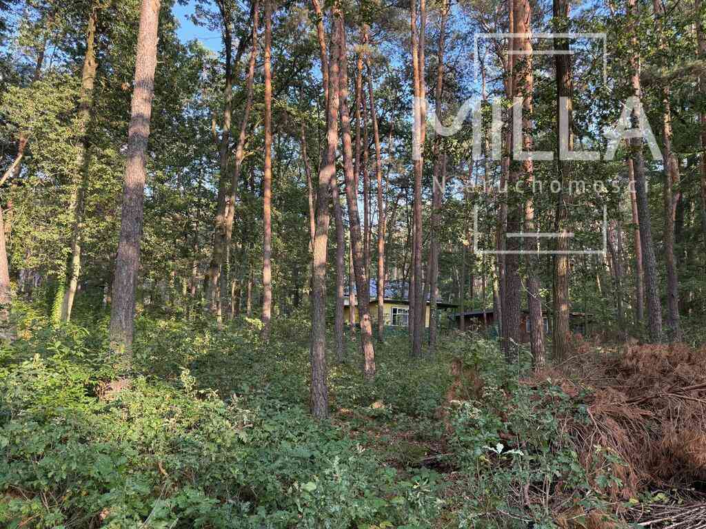 Sokolniki Las-cisza,zieleń,gotowa działka pod dom. - zdjęcie 3