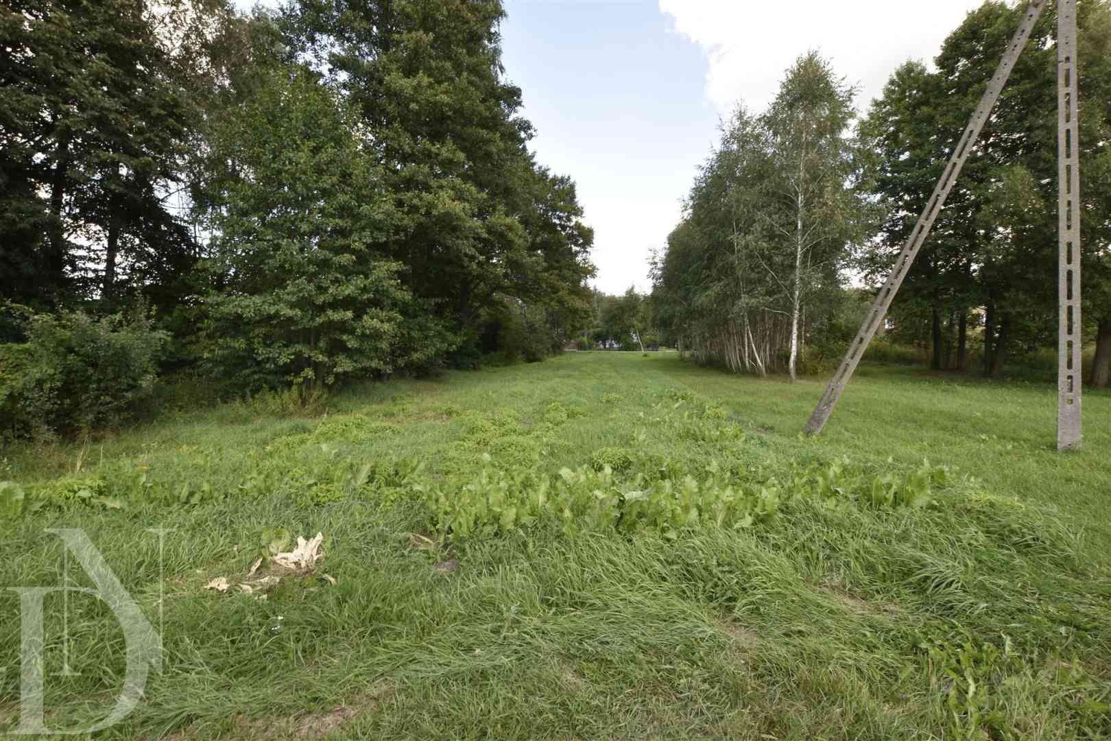 Dom 70 m² + 3205 m² działki w pobliżu rzeki Nurzec - zdjęcie 20