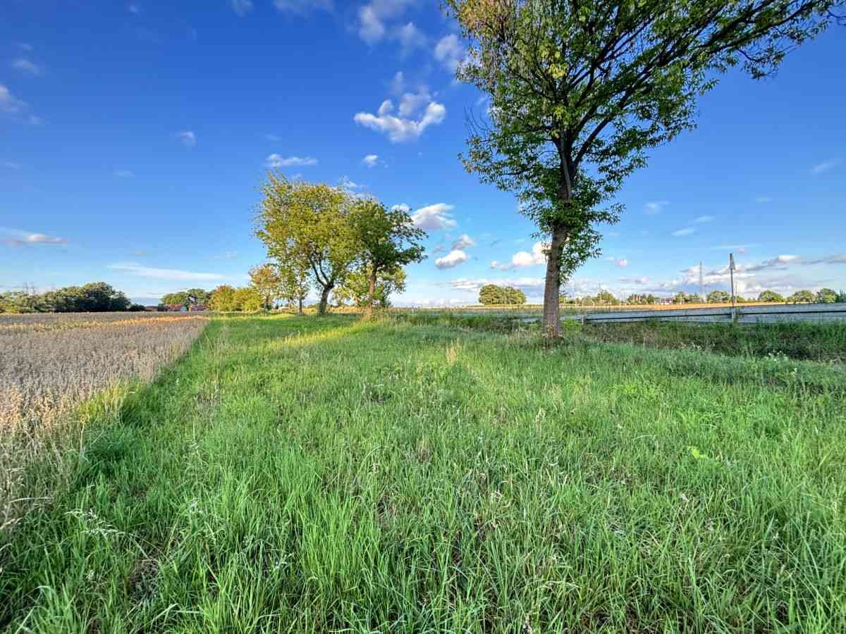 Dopasuj powierzchnię do potrzeb | Od 812m² do 7155 - zdjęcie 14