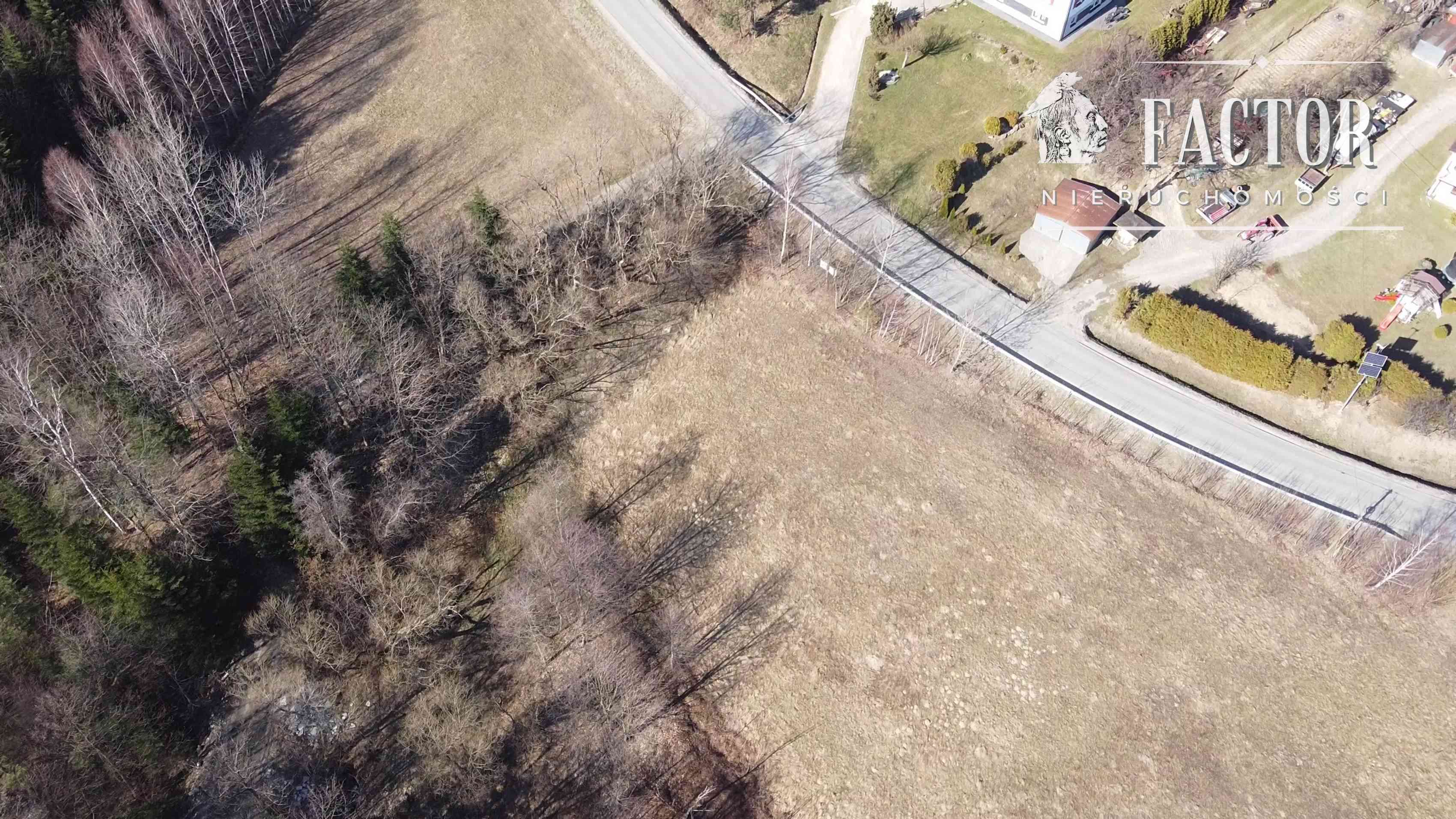 Działka budowlano-rolna 18,46 ara, Bieśnik, gm. Łużna - zdjęcie 6