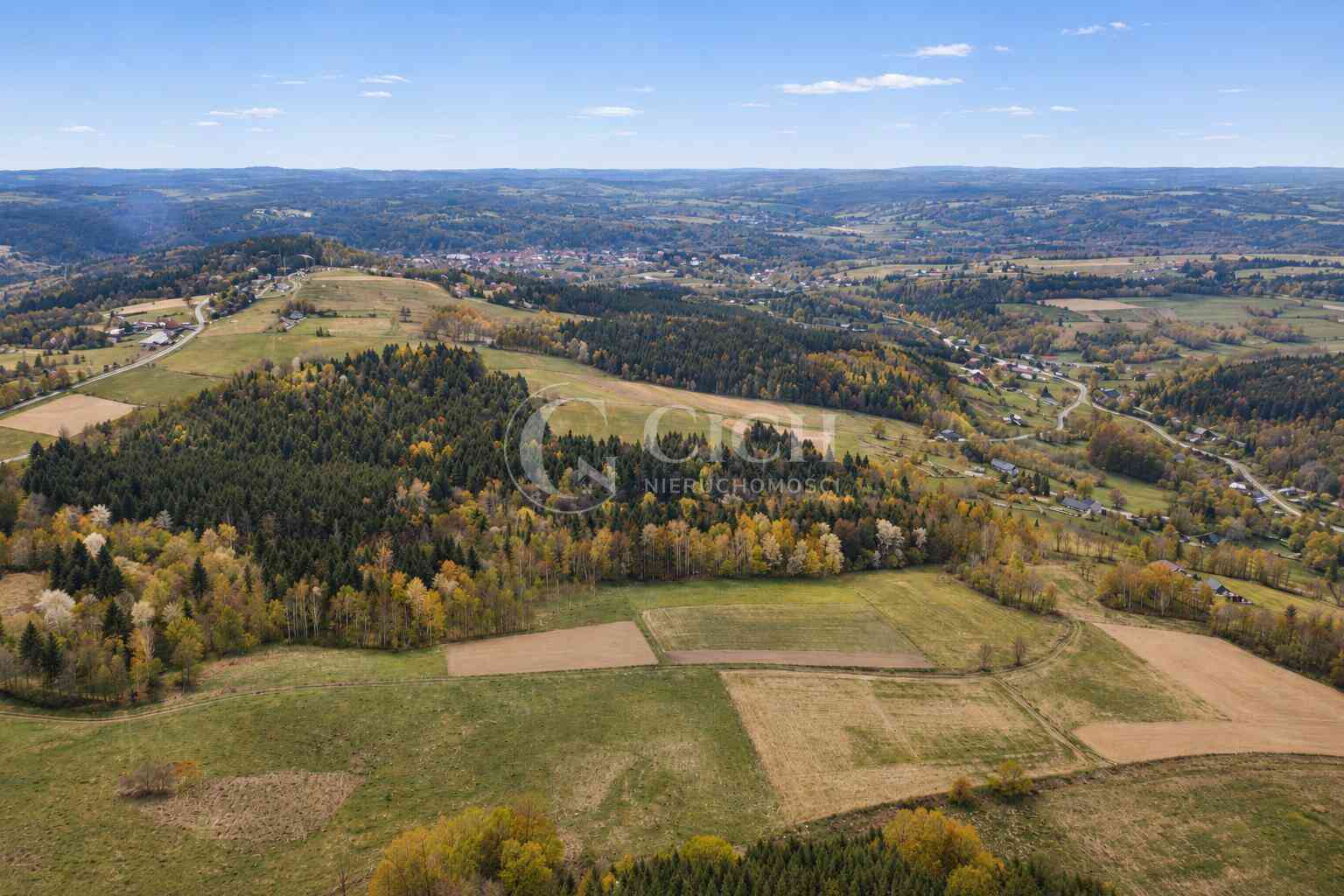 WYJĄTKOWA OFERTA - PRYWATNY LAS 81 ARÓW W OSTRUSZY W MAŁOPOLSCE - zdjęcie 3