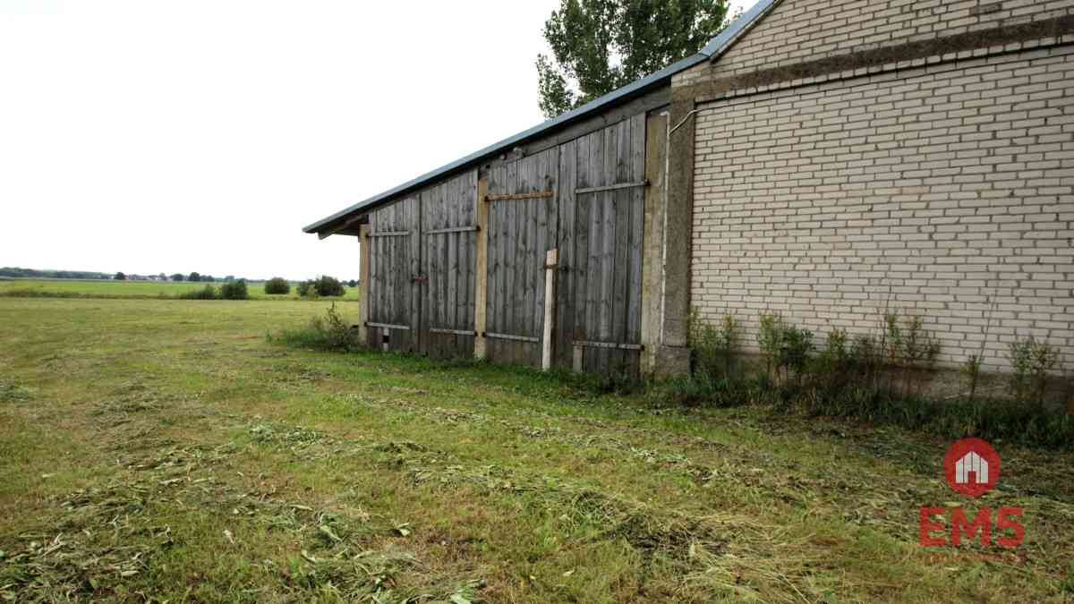 Budynek/hala na wynajem w pobliżu Jeżewa Starego - zdjęcie 6