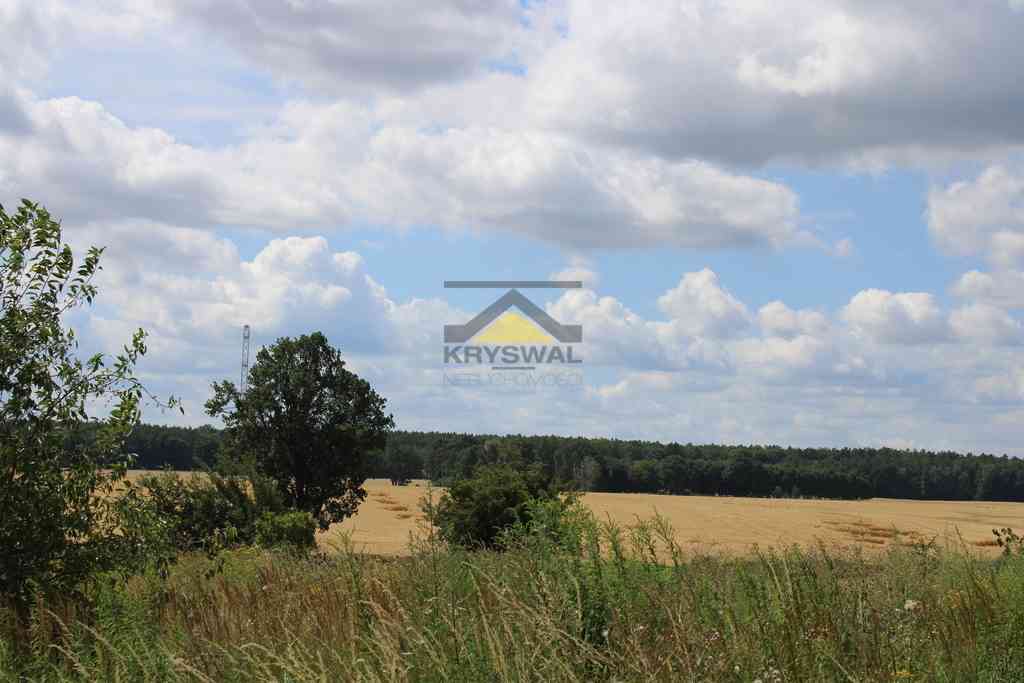 Działka 35 arów, wydane WZ, Racław - zdjęcie 3