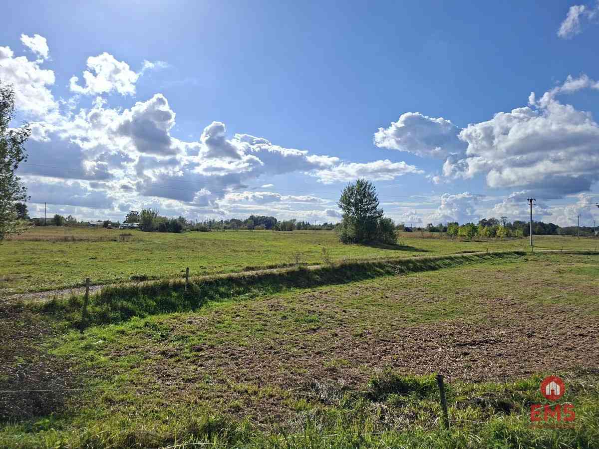Działka inwestycyjna 2,2 ha - zdjęcie 3