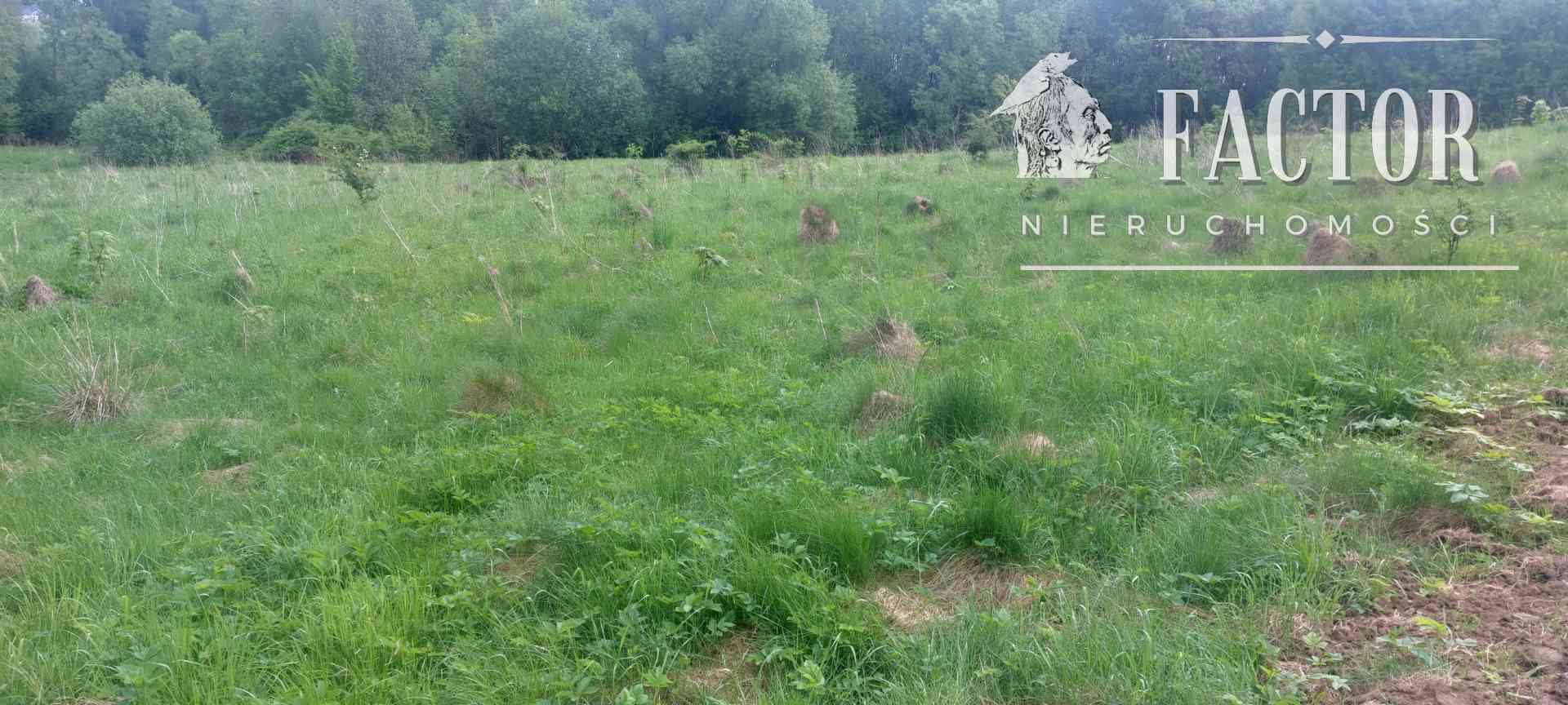 Siary działka rolna 30 a 1149S - zdjęcie 3