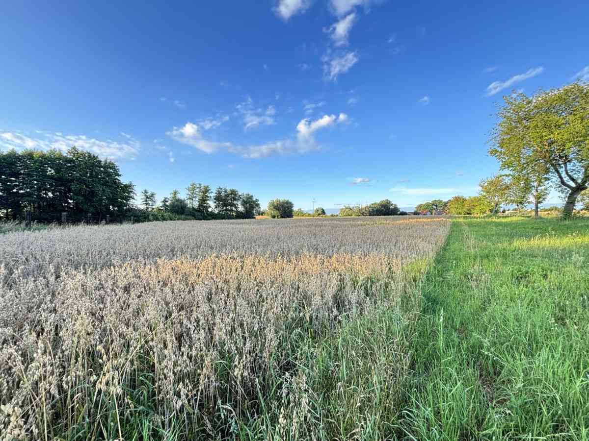 Dopasuj powierzchnię do potrzeb | Od 812m² do 7155 - zdjęcie 18