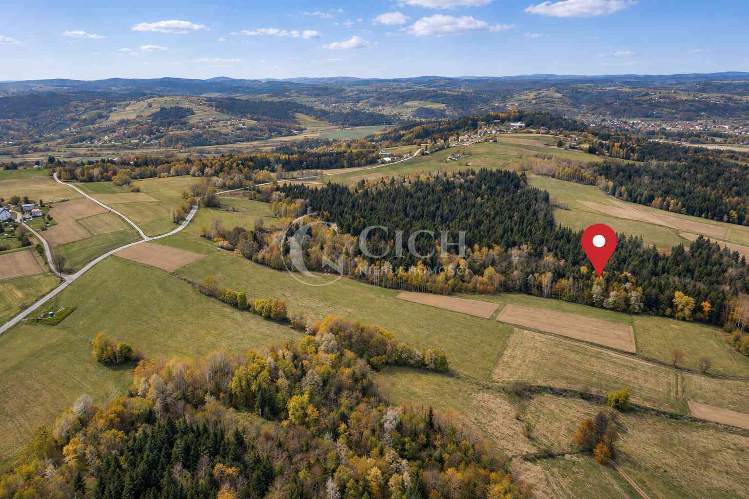 WYJĄTKOWA OFERTA - PRYWATNY LAS 81 ARÓW W OSTRUSZY W MAŁOPOLSCE - zdjęcie 2