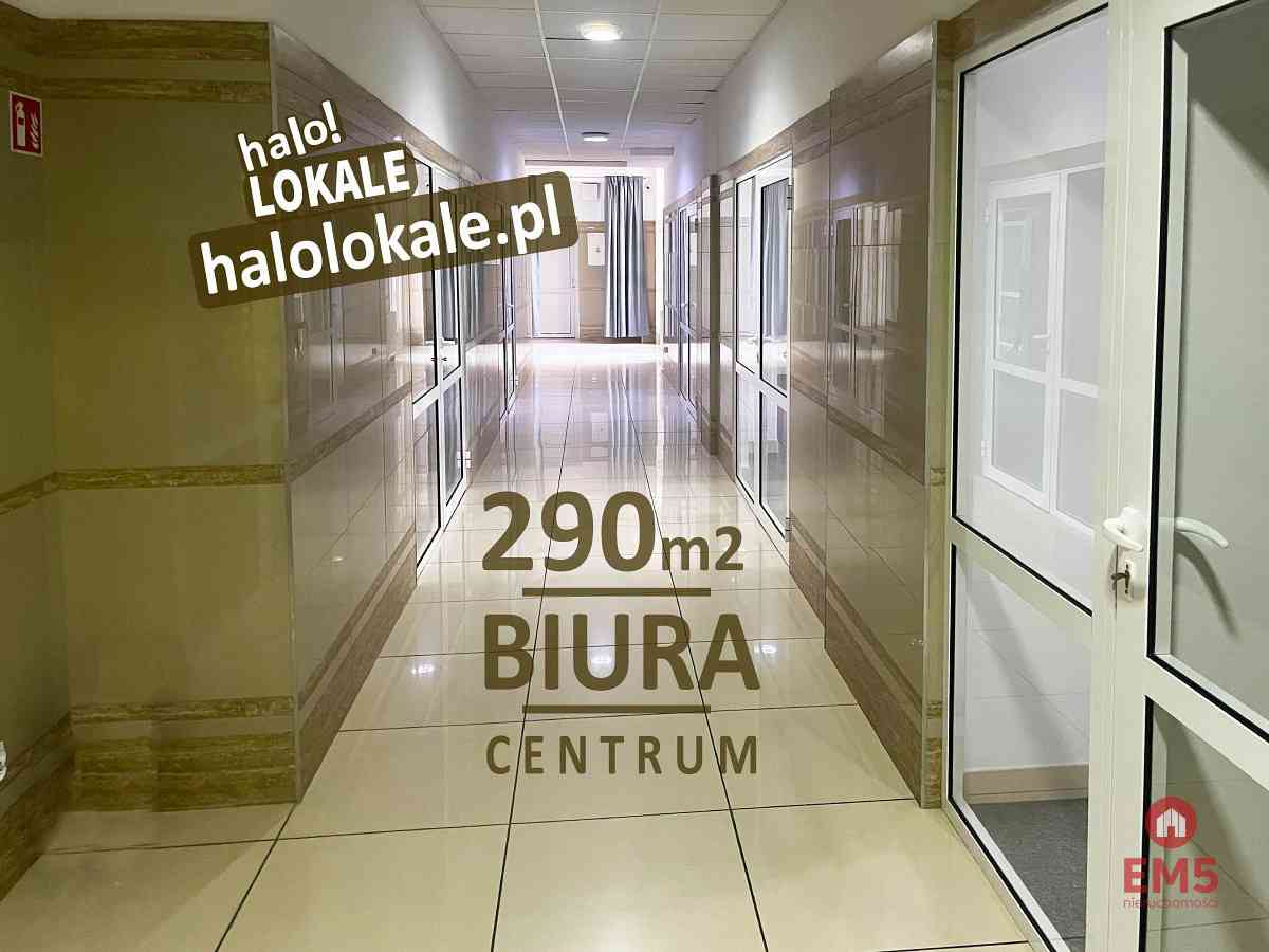 Powierzchnie biurowe 290 m2 Centrum