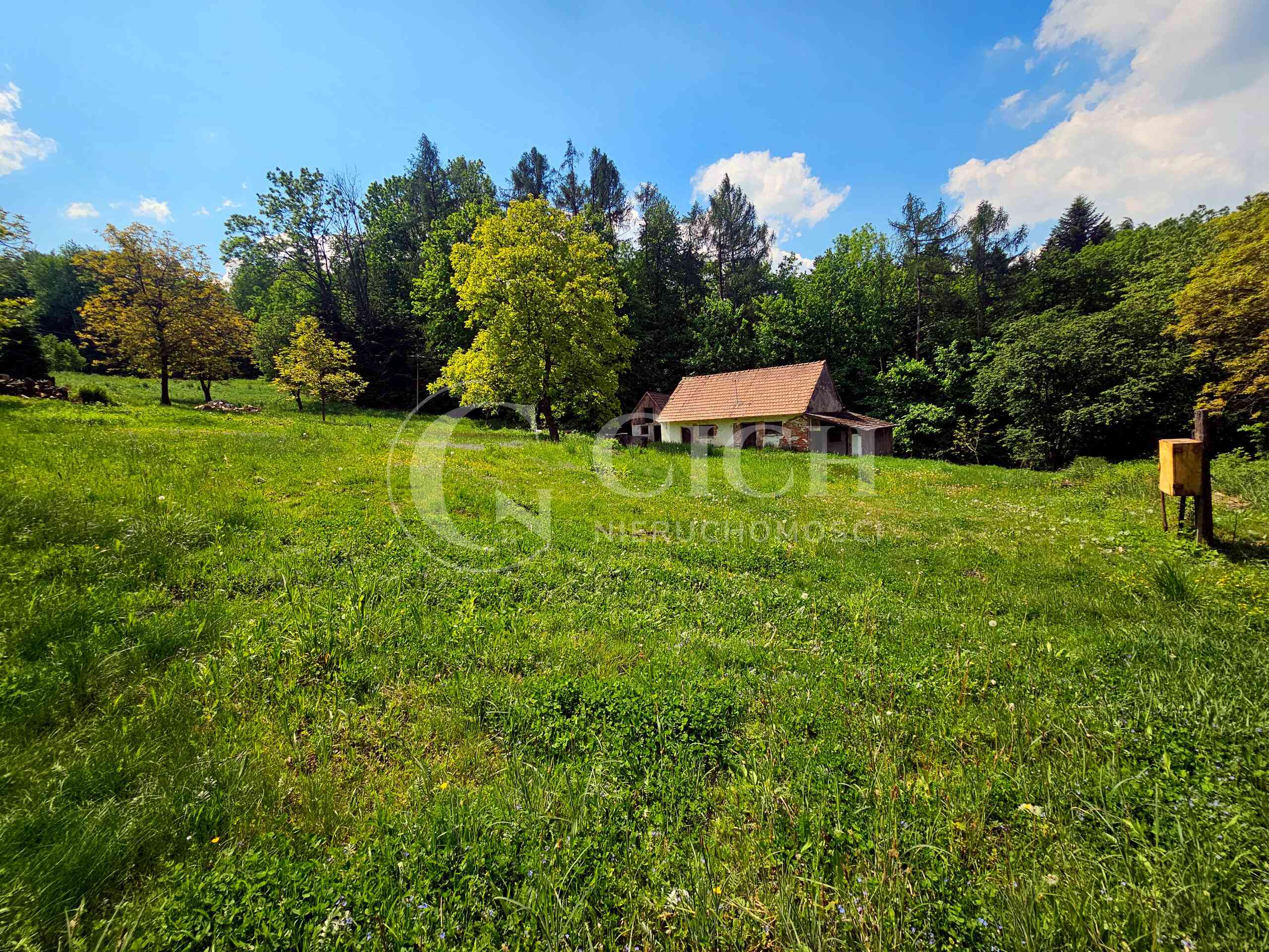 Działka budowlano-leśna 0,8445 ha | Łękawka gm. Tarnów - zdjęcie 3
