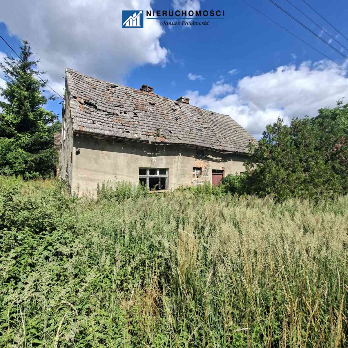 Przemków | Duża działka 2 641 m² z zabudową | - zdjęcie 4