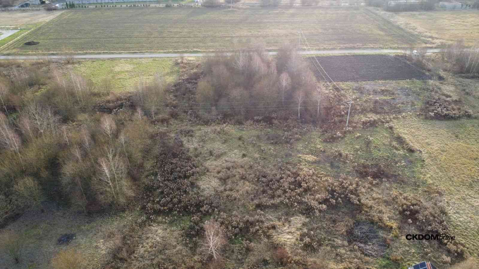 Działka budowalana 1448 m2 Oblęgorek, gm.Strawczyn - zdjęcie 9