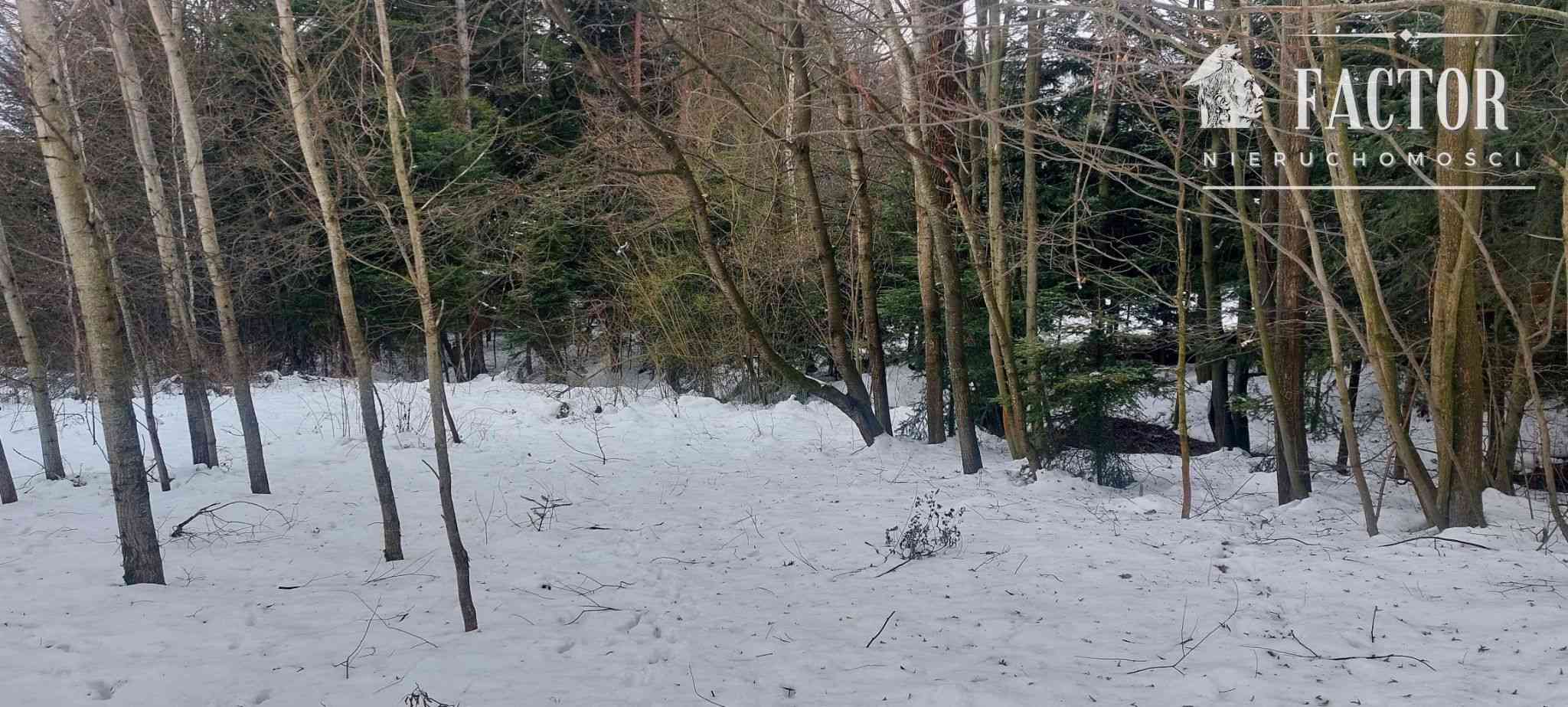 Działka na sprzedaż, Biała Niżna - zdjęcie 2