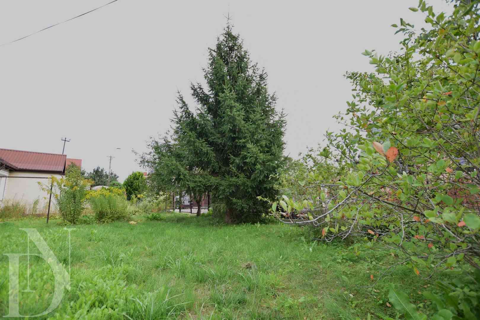 Dom z działką 672 m² i gospodarczym NIŻSZA CENA! - zdjęcie 7