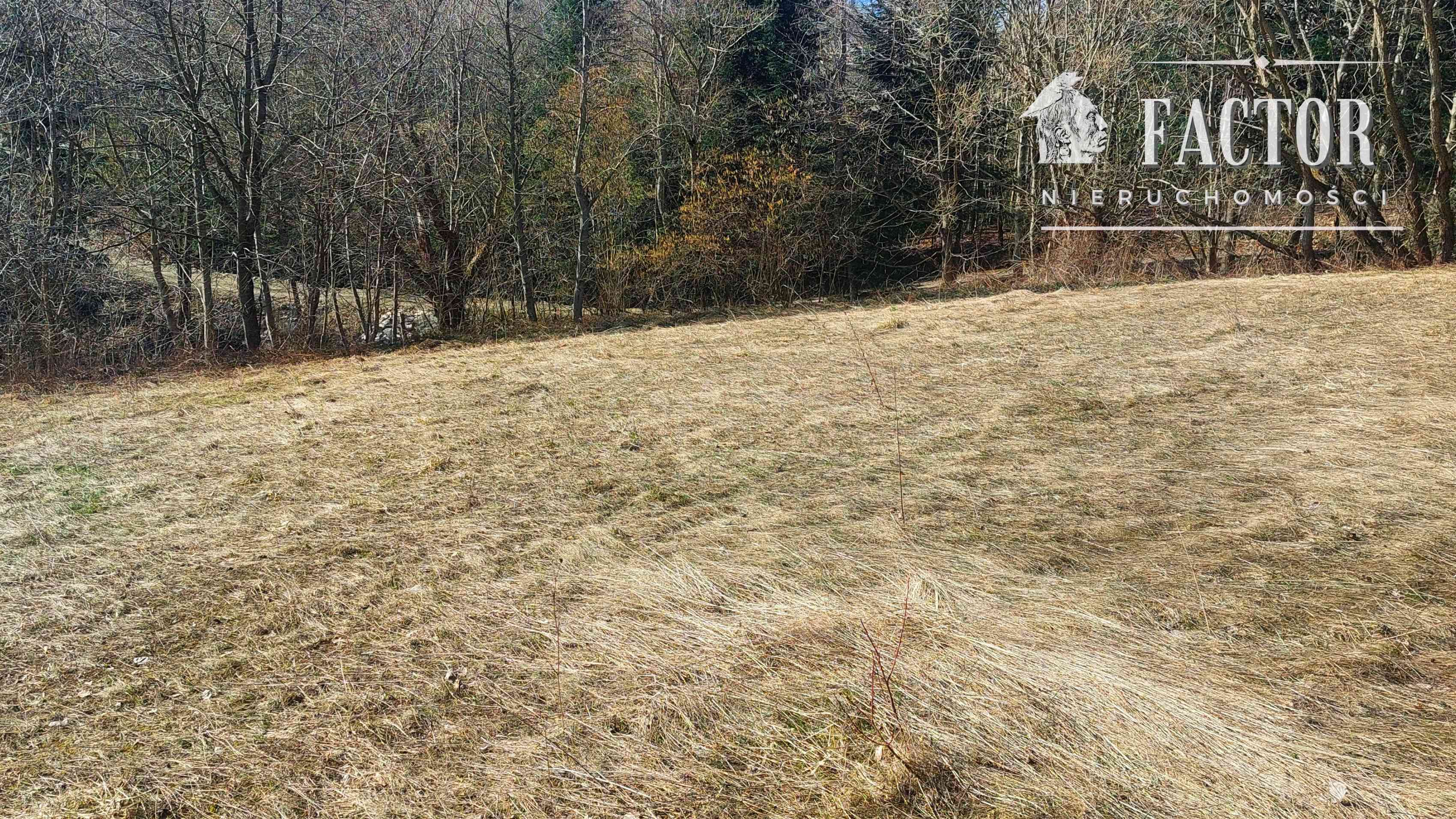Działka budowlano-rolna 18,46 ara, Bieśnik, gm. Łużna - zdjęcie 5