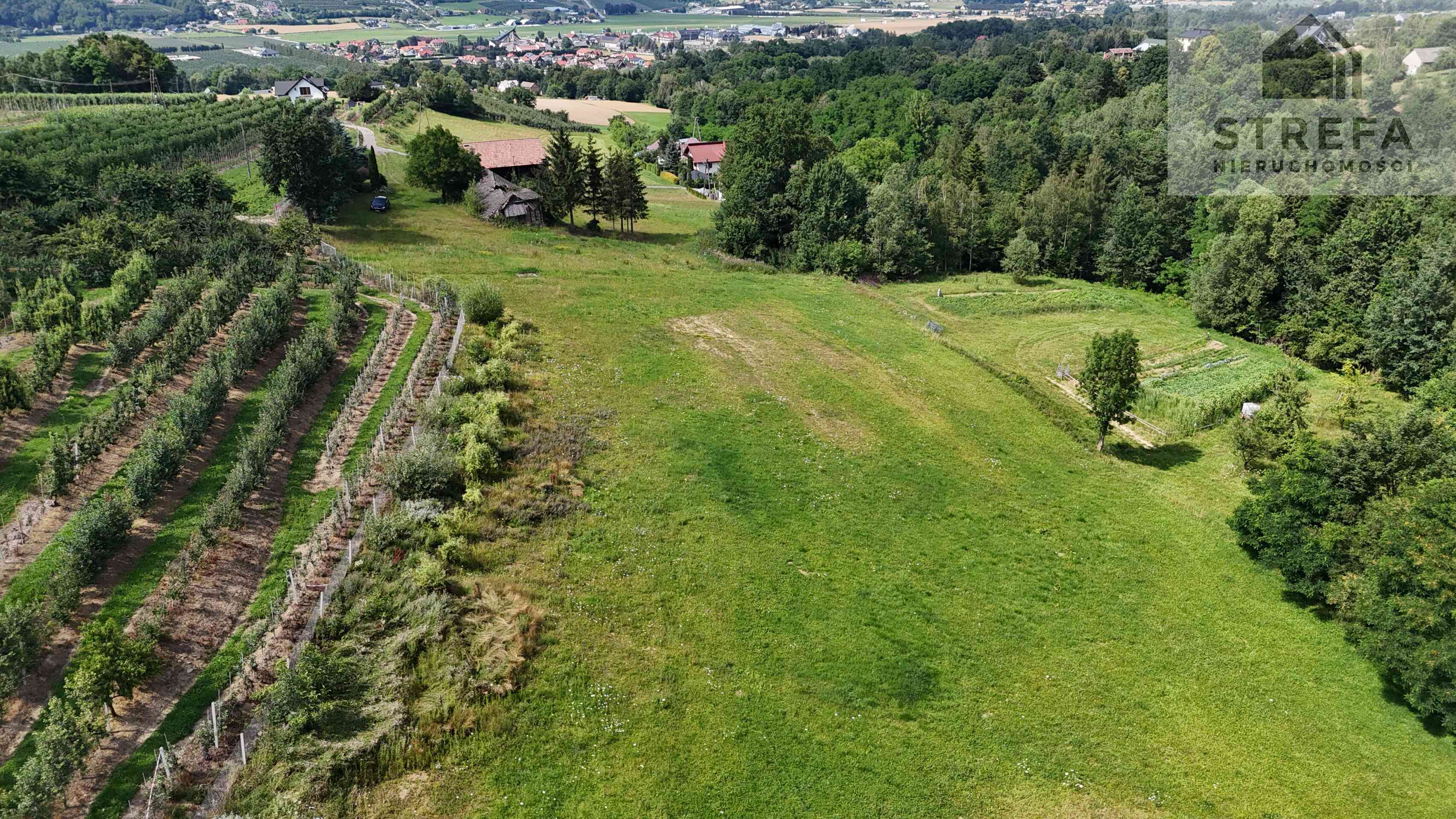 Wyjątkowa działka rolna z możliwością zabudowy zagrodowej, -2,2263 ha, Bilsko gmina Łososina Dolna - zdjęcie 5