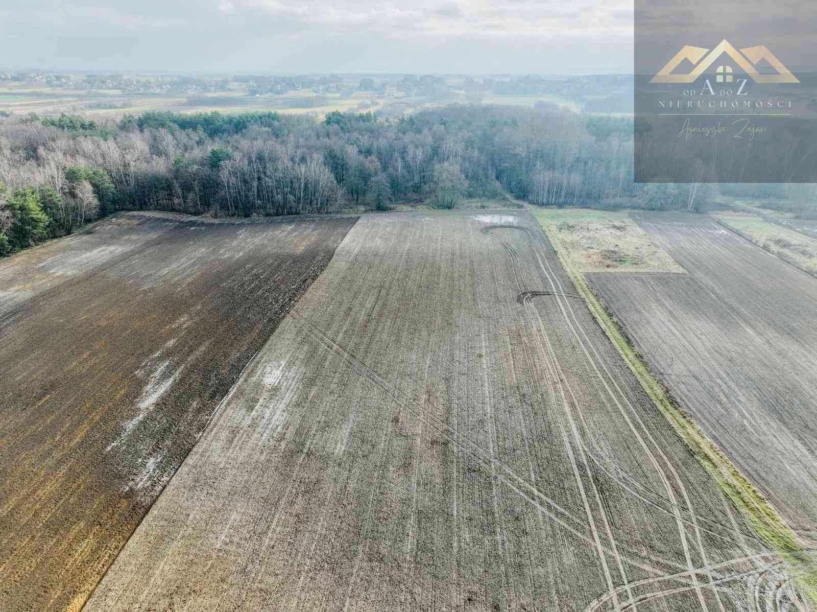 Działka z lasem w atrakcyjnej lokalizacji - zdjęcie 5