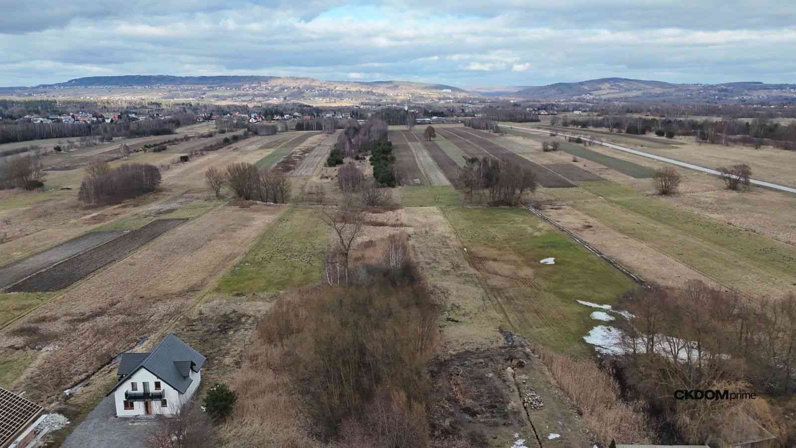 Radlin 4,1 ha działka inwestycyjna z domem - zdjęcie 19