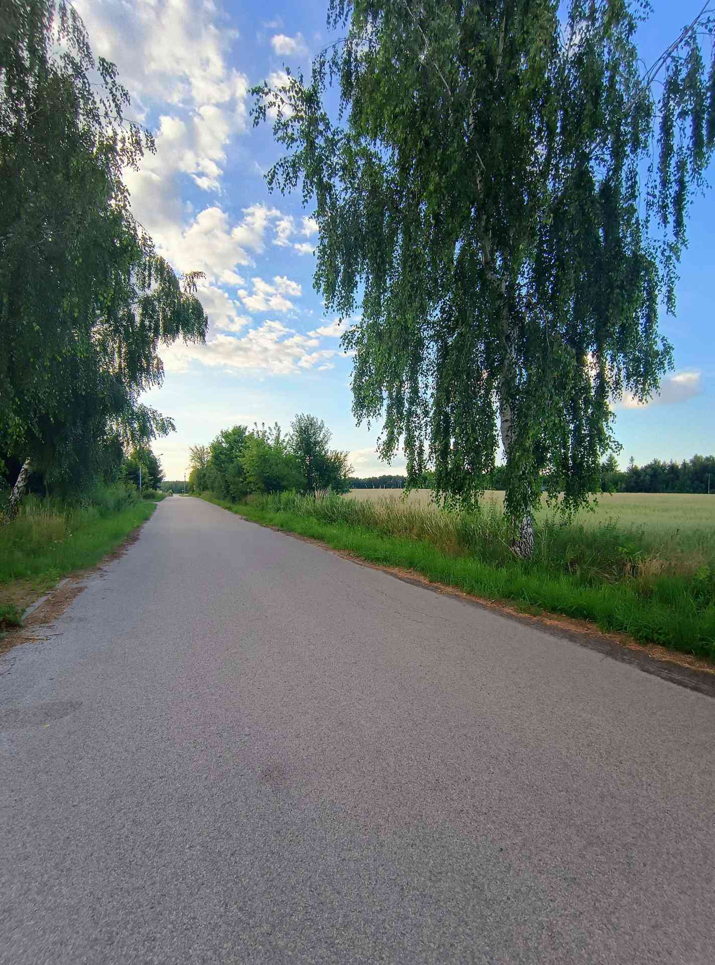 Działka budowlana na sprzedaż Wzniesienia Łódzkie - zdjęcie 4