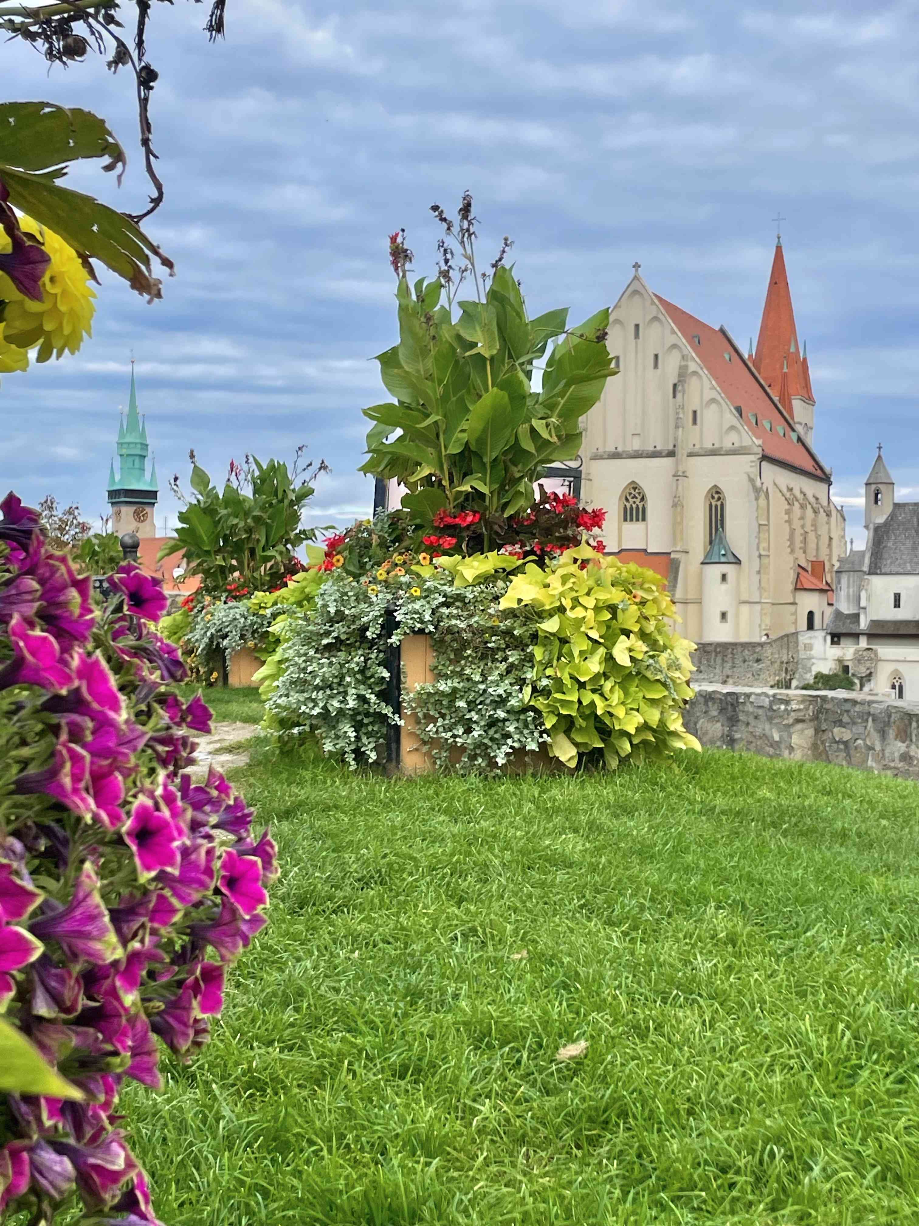 Znojmo Heritage - apartmány a gotický wine bar - zdjęcie 13