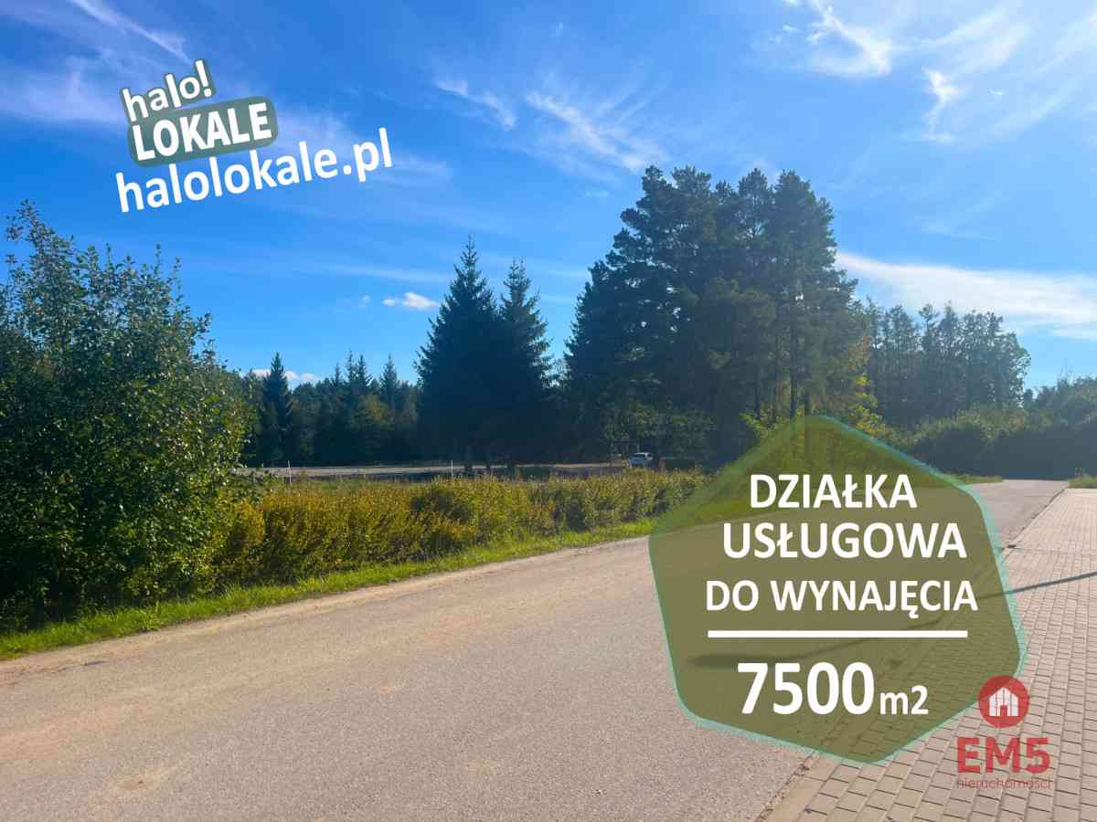 Działka do wynajęcia w świetnej lokalizacji - zdjęcie 1