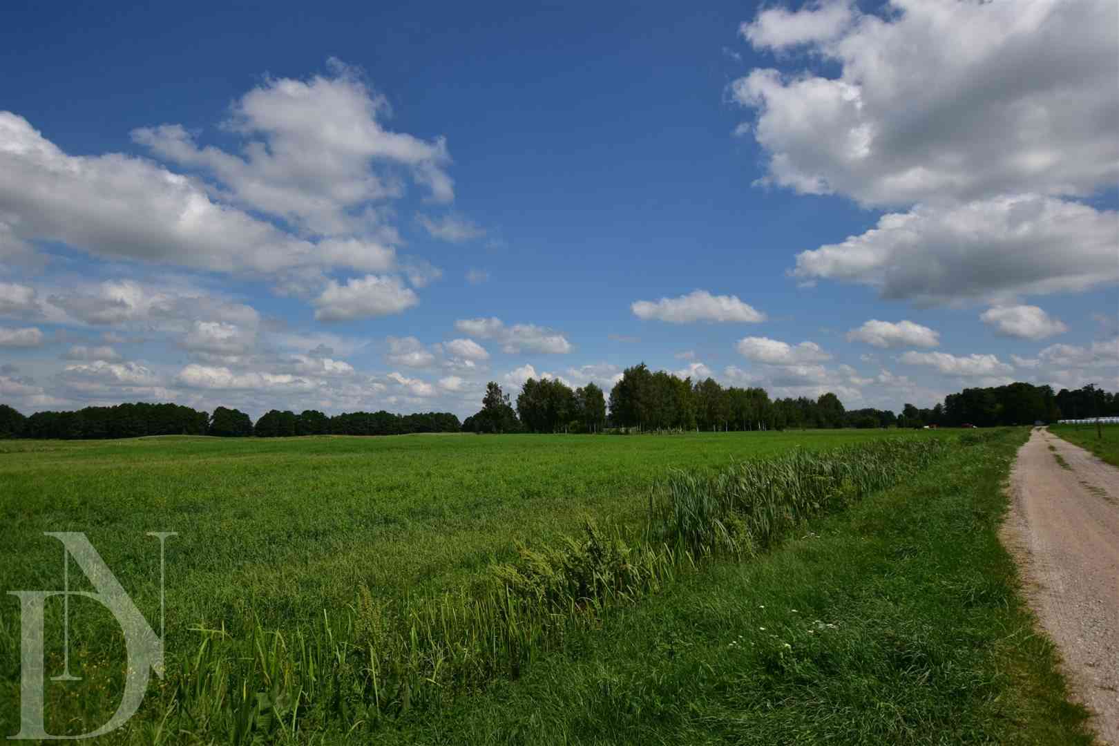 Działki 11095 m² koło Jeziora Dręstwo NOWA CENA!!! - zdjęcie 11