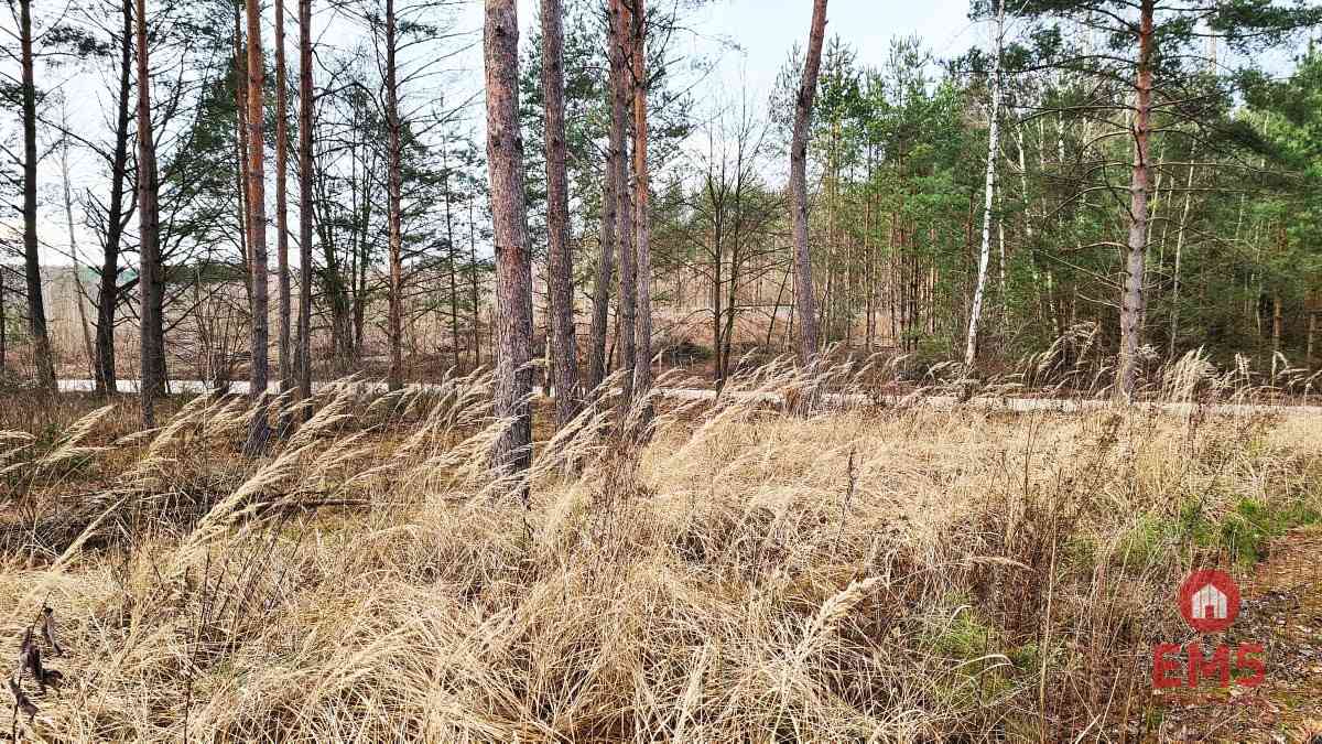 Działka 8500 m2, Jurowce - zdjęcie 7