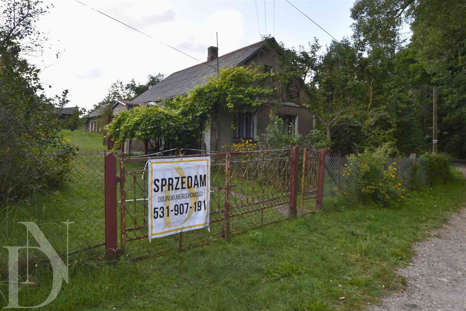 Dom 70 m² + 3205 m² działki w pobliżu rzeki Nurzec - zdjęcie 3