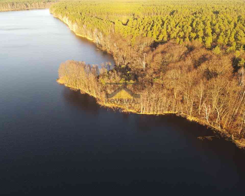 Na sprzedaż duża działka w Rybakowie - zdjęcie 4