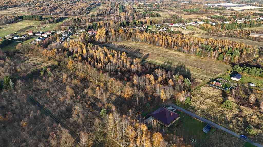 Kolonia Klepaczka, ul. Zielona | Działka - zdjęcie 2