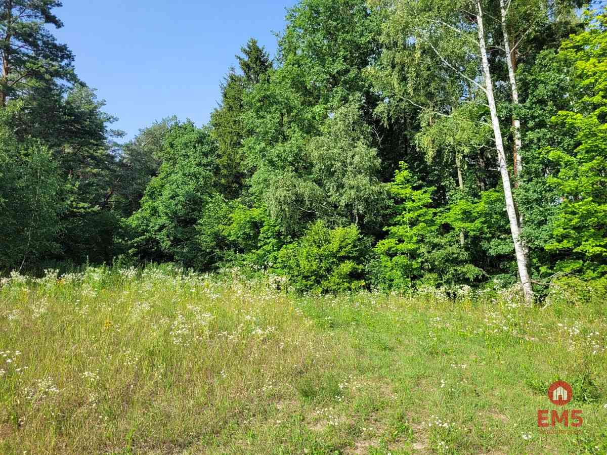 Mazury, jezioro Garbas, duża działka. - zdjęcie 6