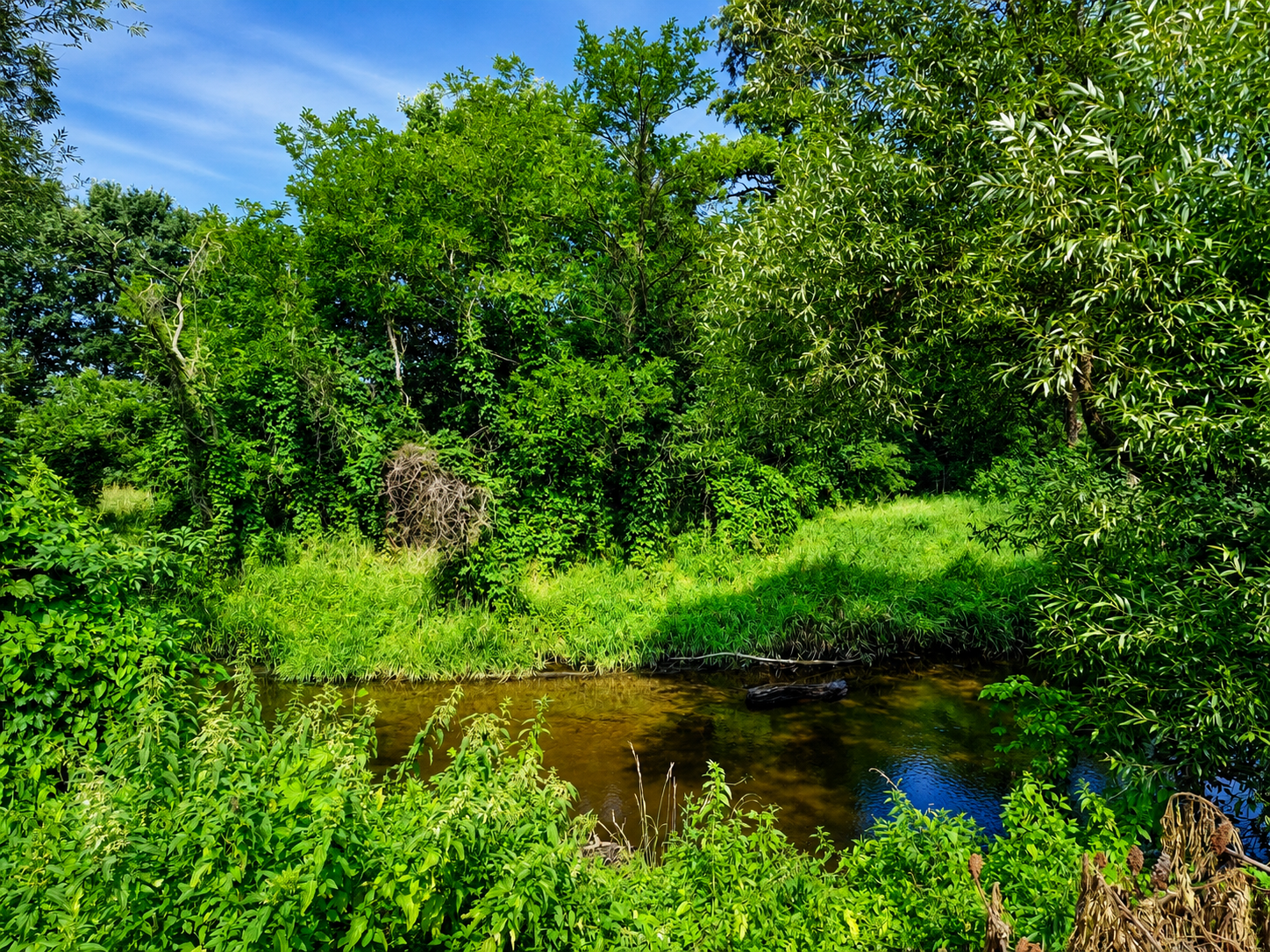 Dom na sprzedaż Bierawa, Ogrodowa