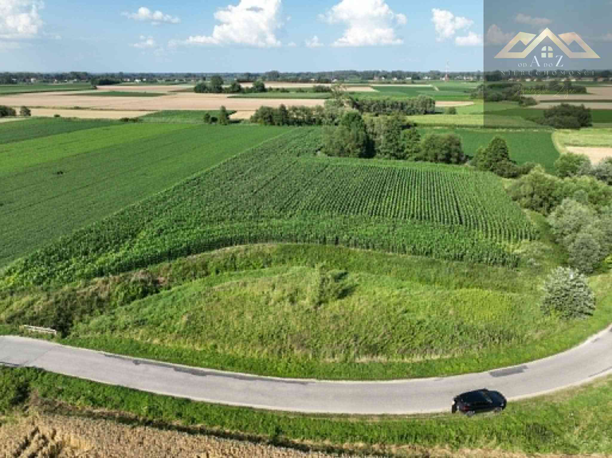 Działka rolna 80 arów w Miechowicach - zdjęcie 4