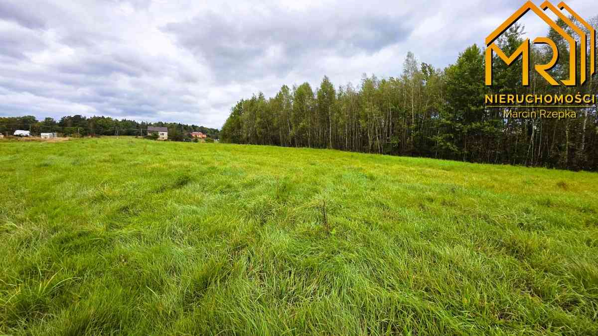 1 ha działki rolnej w gminie Szerzyny  - zdjęcie 9