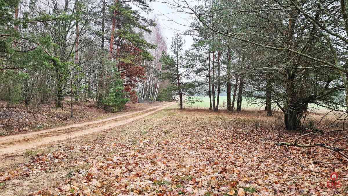 Działka 1743 m2, Pieńki - zdjęcie 5