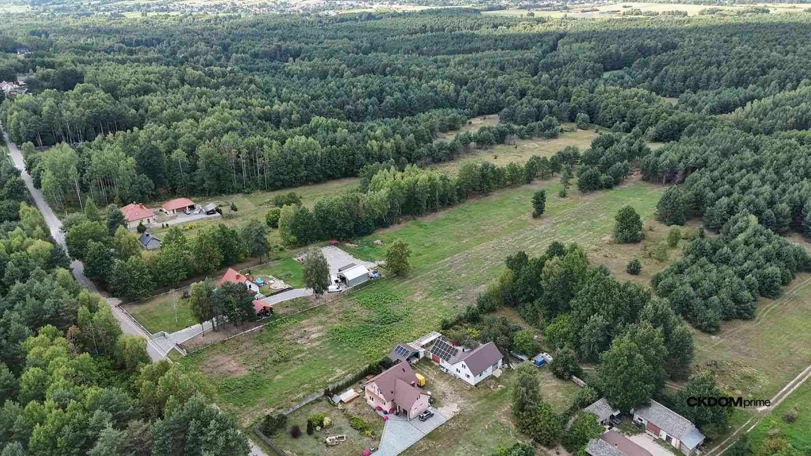Działka na sprzedaż 910 m2 Gałęzice gm. Piekoszów - zdjęcie 5