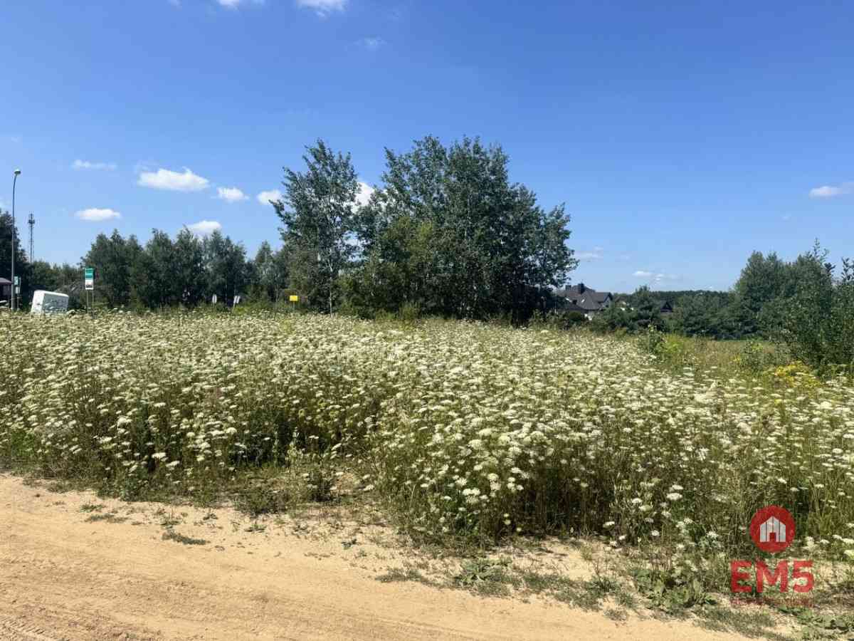 Dziłaka pod zabudowę bliżniczą - zdjęcie 5