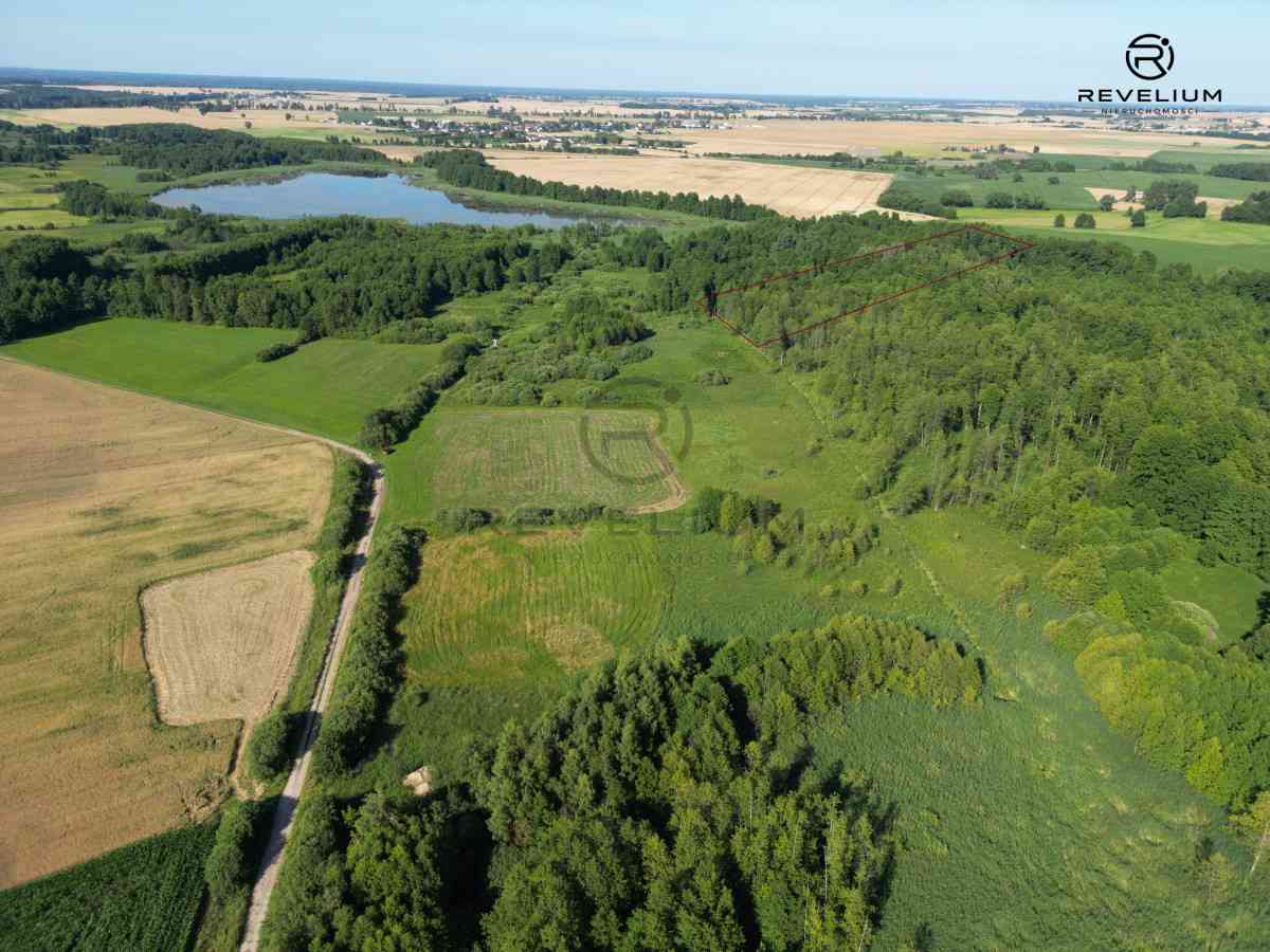 DZIAŁKA 2,38HA|JEZIORO|BORY TUCHOLSKIE - zdjęcie 2