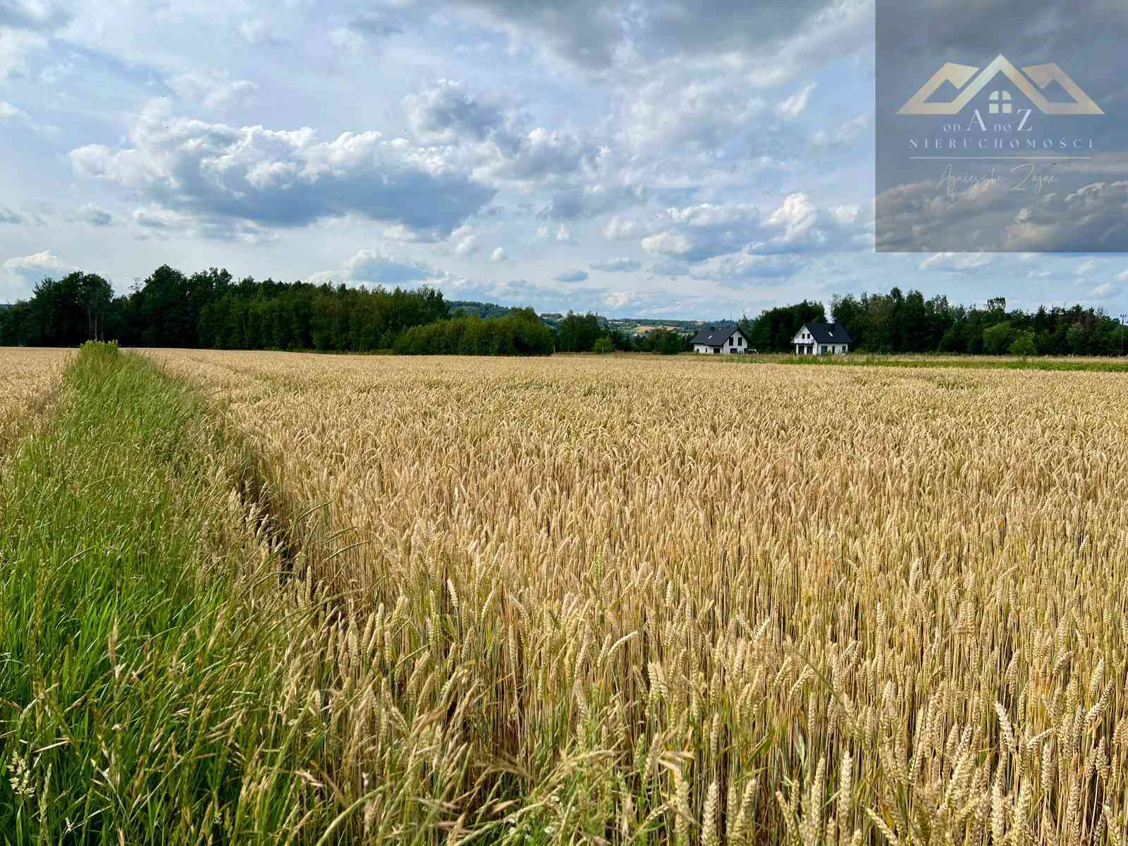 Działka budowlana z widokiem na Zamek w Melsztynie - zdjęcie 2