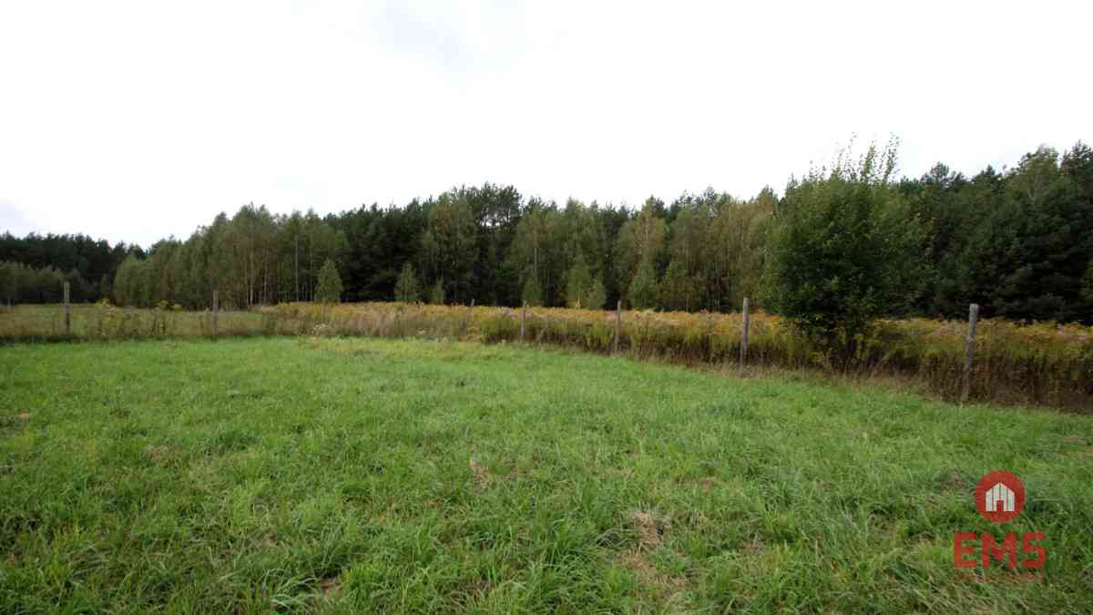 Dom w otoczeniu lasu | działka 2400 m² - zdjęcie 19