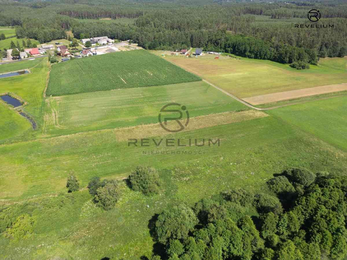 DZIAŁKA ROLNA|NAD RZEKĄ WIERZYCA|LIPY - zdjęcie 4