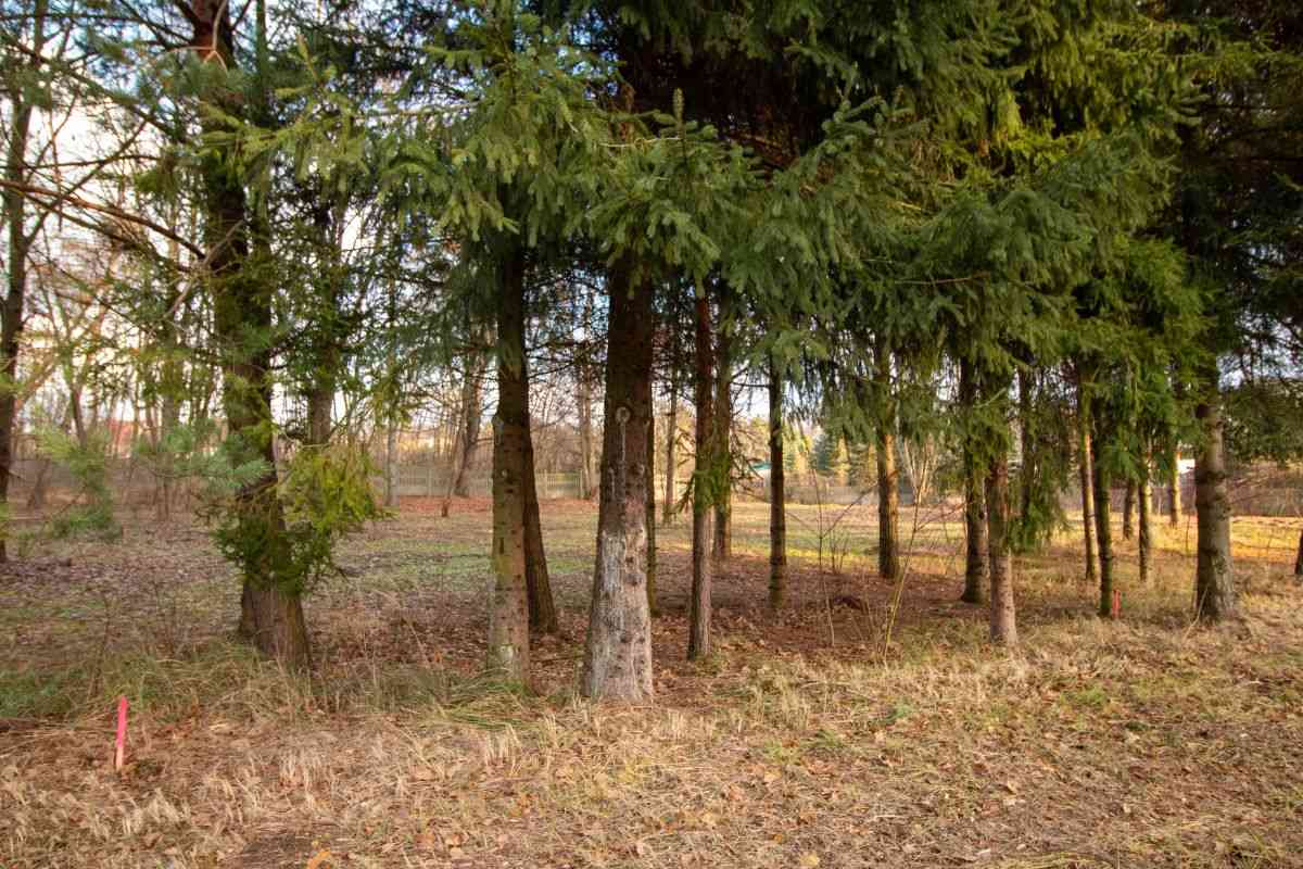 Działka budowlana Koszęcin 1024m2 ul. Słowików - zdjęcie 9