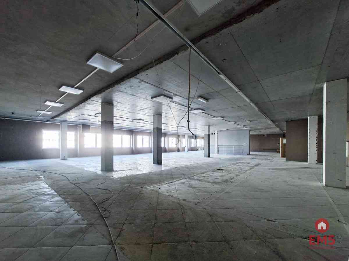 Lokal użytkowy 490 m2. Nowe Miasto. - zdjęcie 3