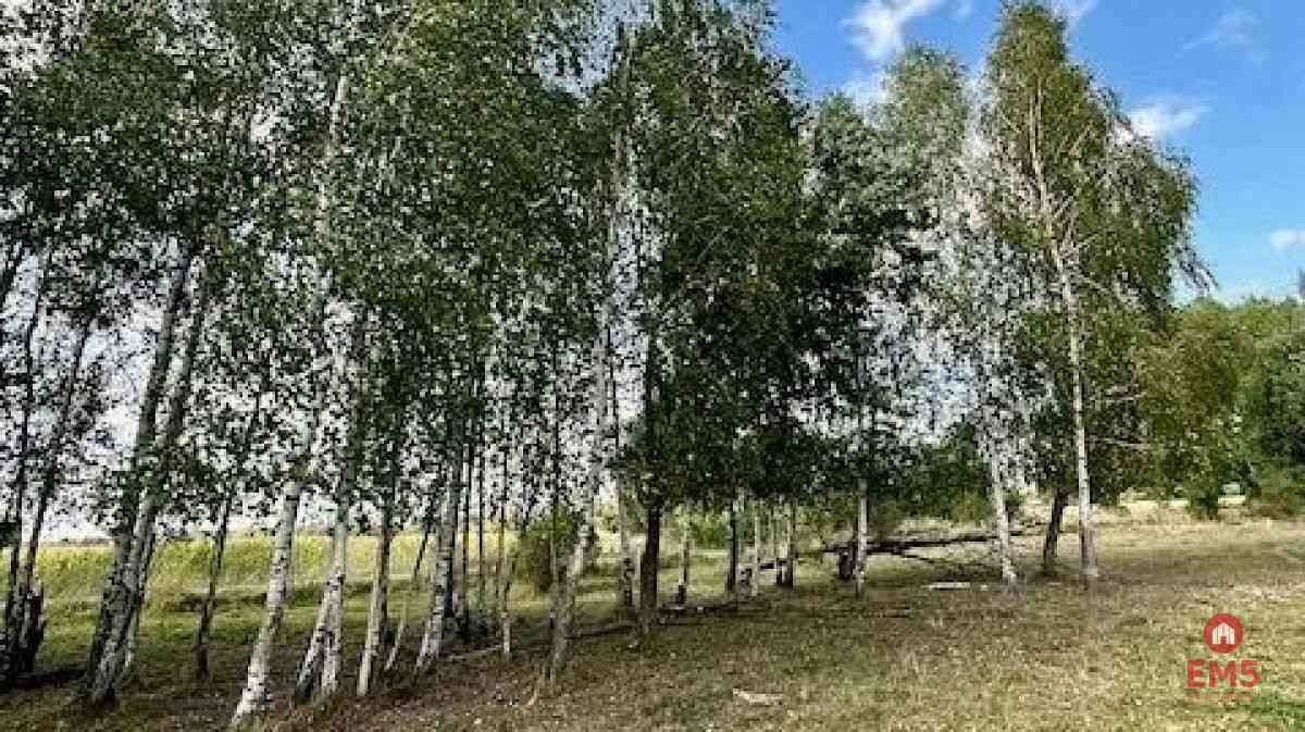 Działka budowlana 1425 m2, Rafałówka - zdjęcie 7