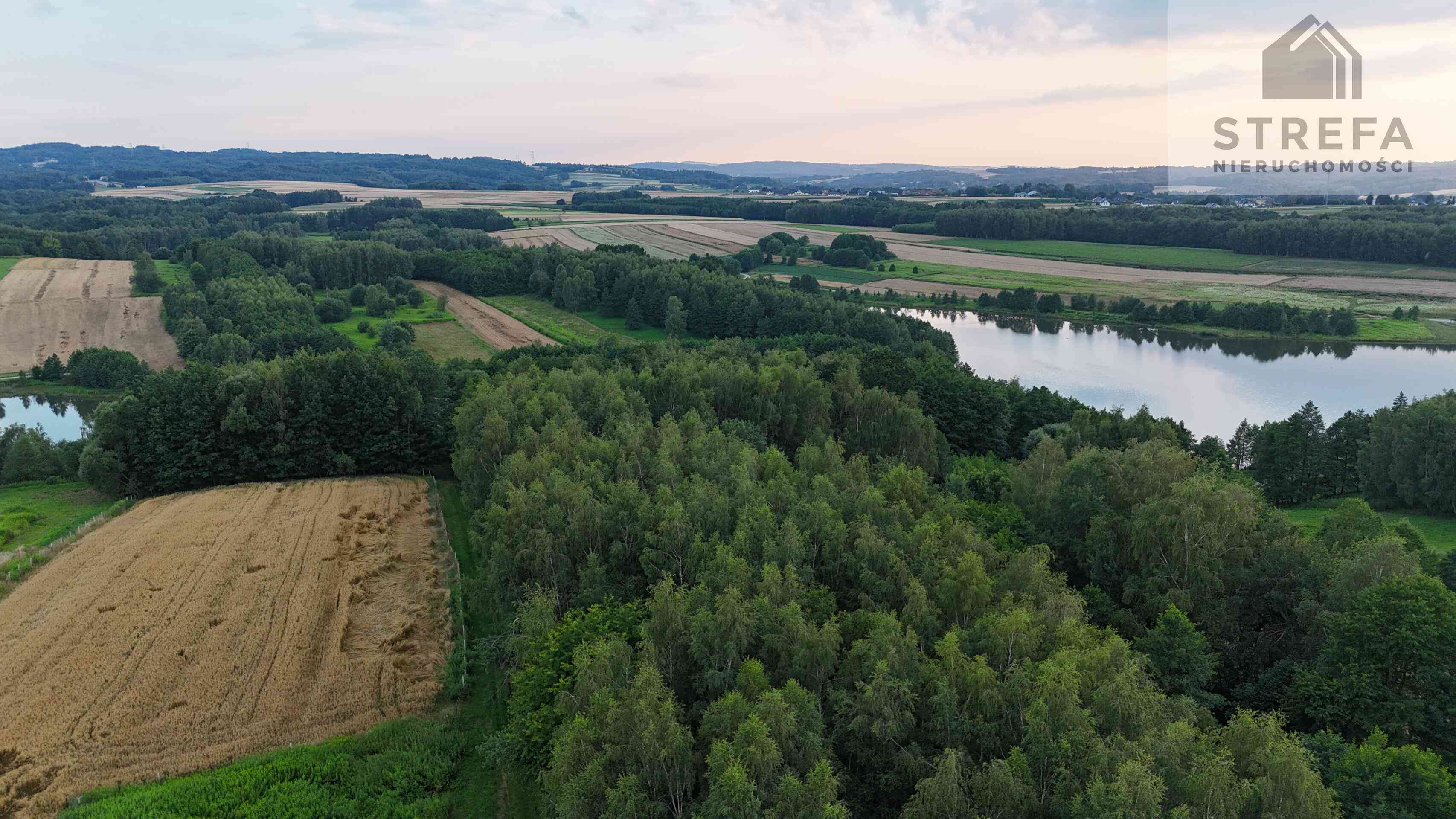 Działka 55,04 ara bezpośrednio przy Zalewie Skrzyszowskim – pod siedlisko lub biznes turystyczny - zdjęcie 3