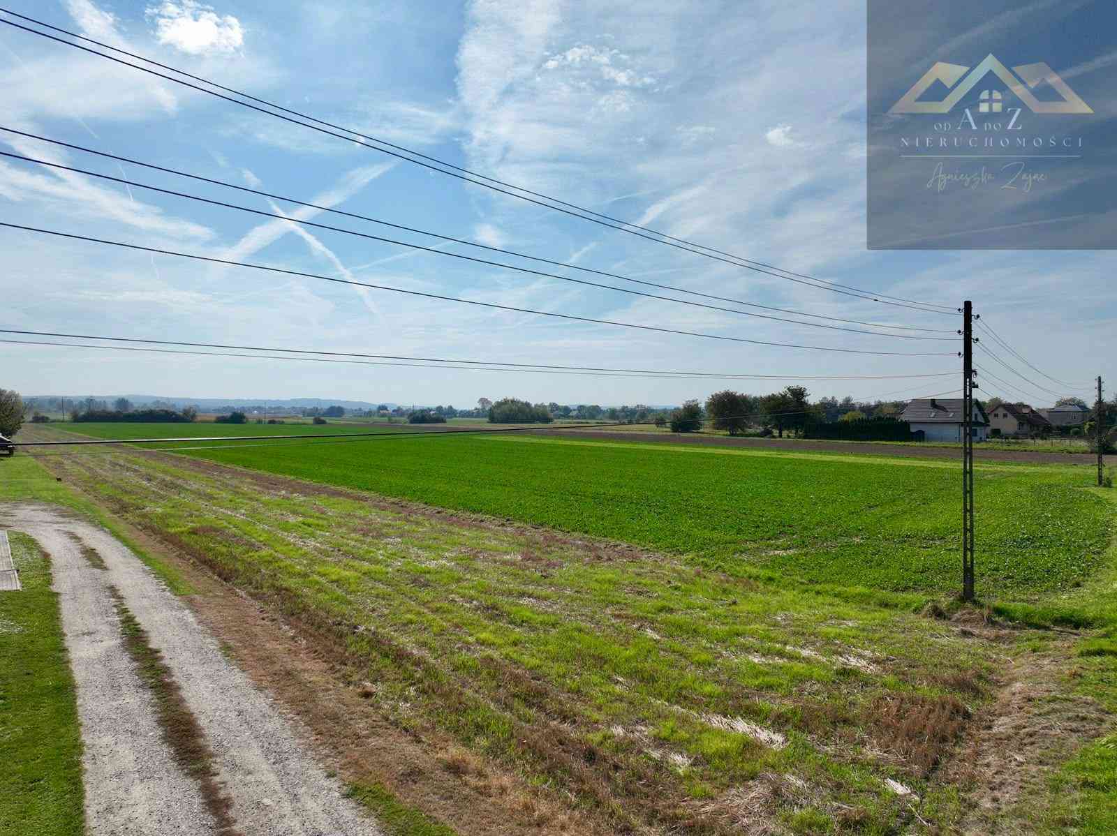 Duża działka 54 ar z WZ na dom, Wierzchosławice gm. - zdjęcie 5