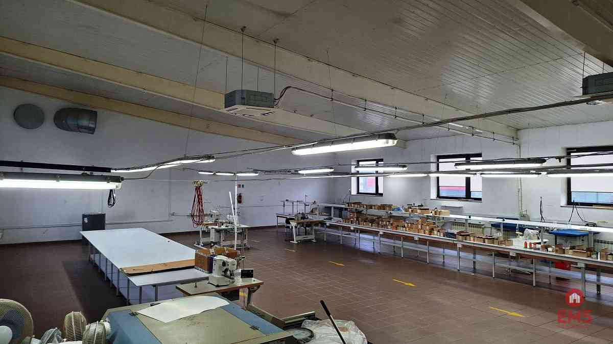 Lokal użytkowy 300 m2 na wynajem - zdjęcie 6