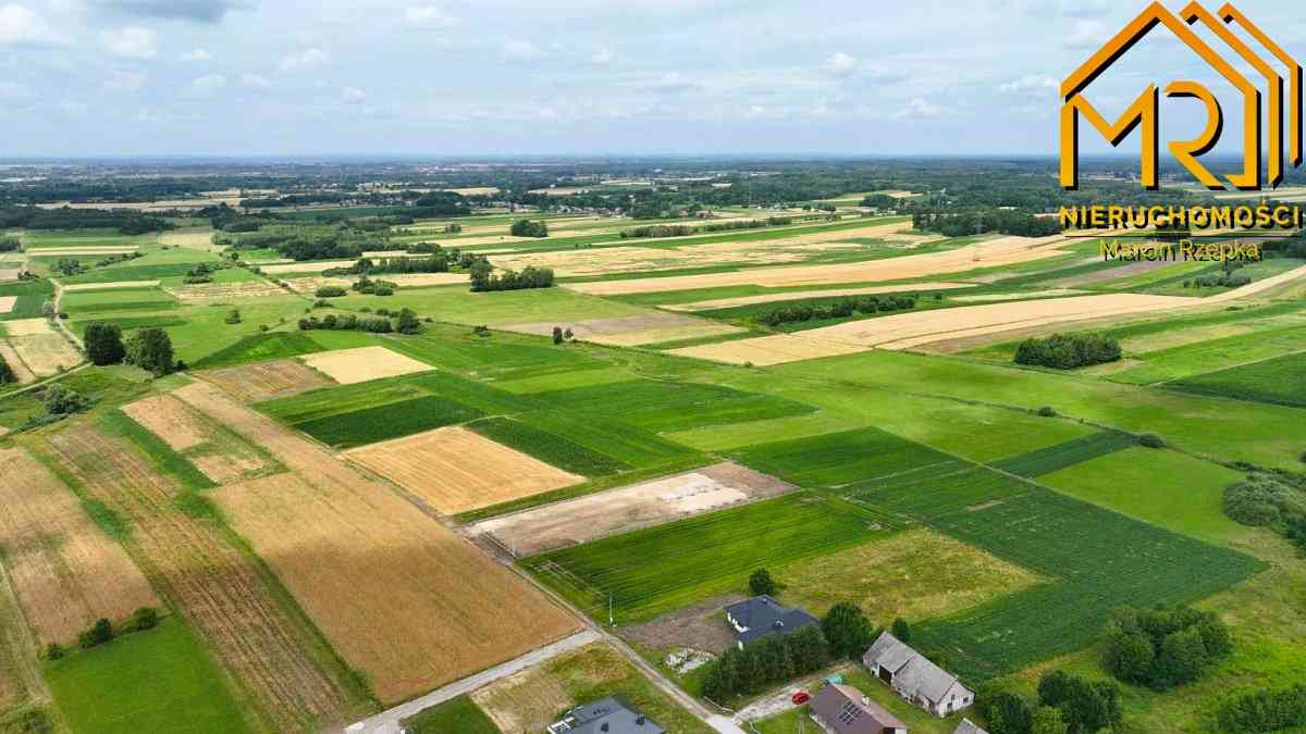 Działki leśne w gm. Lisia Góra - zdjęcie 4